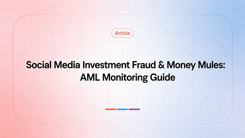Social Media Investment Fraud: The Payment Flow, Money Mules and the Duty of Care